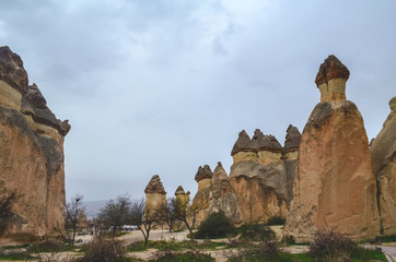 Tuff rocks in the form of stone mushrooms in Turkish Cappadocia. Pashabag Valley
