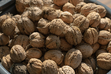 Fototapeta na wymiar A pile of walnuts. Full bucket of ripe walnuts