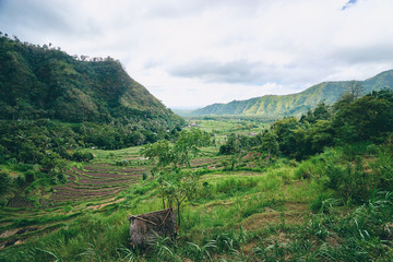 Fototapeta na wymiar Settlement among rice terraces and fields near mountain ridges. Bali, Indonesia.