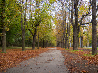 Allée dans un parc, couleurs automnales (Autriche, Prater, Vienne)
