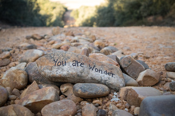 schriftzug wonder auf dem jakobsweg symbol