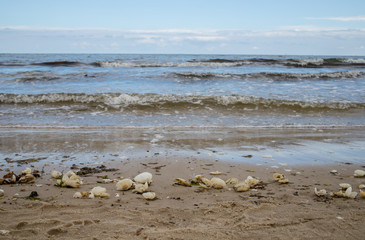 Fototapeta na wymiar Am Strand von Ahlbeck Ostsee