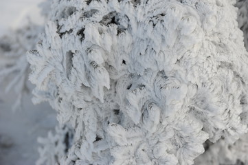 Architectural detail shot of solid stone wall in winter. Structure of ice in macro photography. Frozen water close up. Nature art in microworld or microcosm. Snowflakes and the ice.