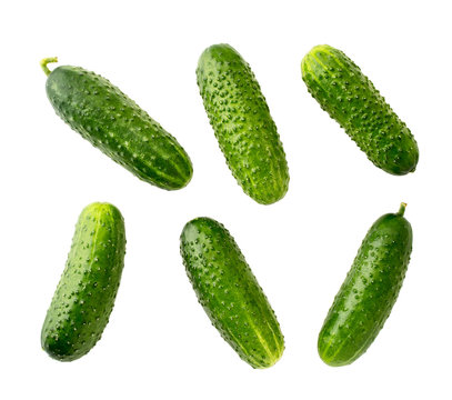 Set of ripe cucumbers carved on a white.