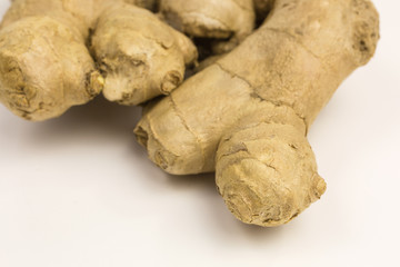fresh raw ginger roots - zingiber officinale - with shallow depth of field, focus on tip of the root