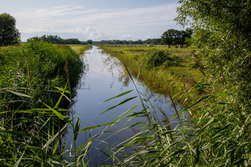 Bei Koserow auf der Insel Usedom