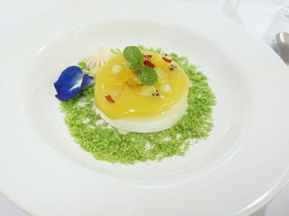 Panna cotta on a white plate
