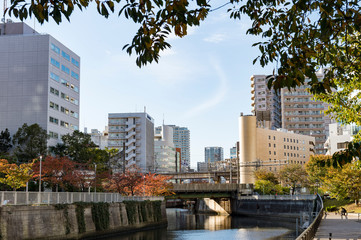 Fototapeta na wymiar 東京都品川区五反田の秋の目黒川の風景