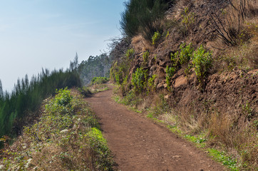 Fototapeta premium The path of walking
