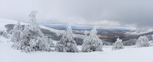 Vista panorámica de paisaje de montaña y arboles totalmente cubierto de nieve