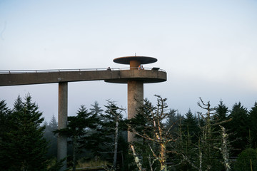 Foggy sunrise view on hiking path and clingmans dome in great smoky mountains 