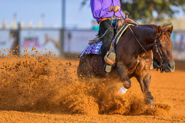 The close-up view of a rider stopping a horse in the sand.	