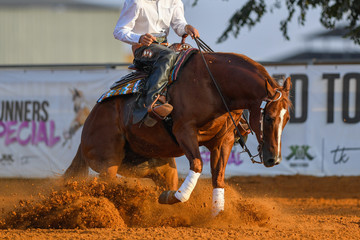 The side view of a rider stopping a horse in the sand.	