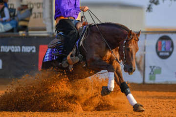 The side view of a rider stopping a horse in the sand.	