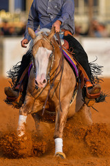 The front view of a rider stopping a horse in the sand.	