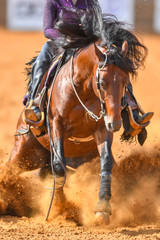 The front view of a rider stopping a horse in the sand.	