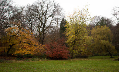 Autumnal colours