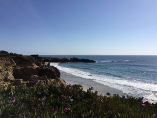 Fototapeta na wymiar Californian coastline