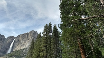 Obraz na płótnie Canvas Yosemite landscape