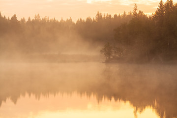 One beautiful misty morning in the forest, perfect day for some flyfishing.