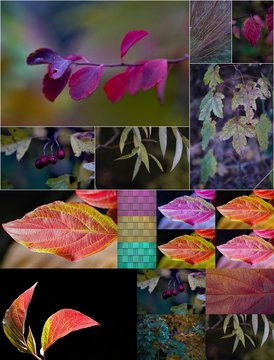 Collagenmix 3-fach Herbst