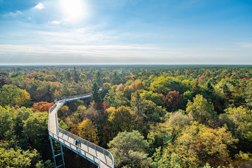 The treetop path through the mixed forest at the Beelitz near Berlin in Germany. Very colorful,...