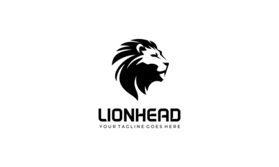 Lion Logo Vector White Background