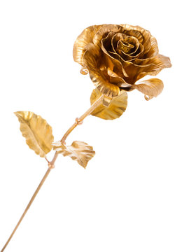 golden metal rose isolated on white background