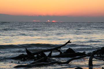 Driftwood and Sunrise on Little Talbot Island