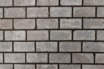 Fototapeta premium The texture of the grey paving slabs
