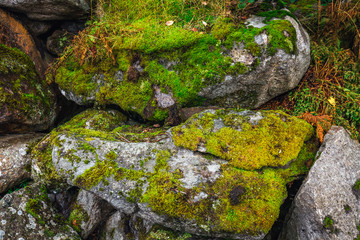 Norway amazing nature