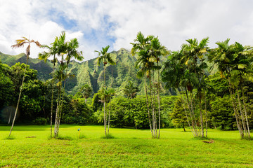 Ho’omaluhia Botanical Garden in Oahu, Hawaii