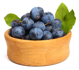 The fruits of blackthorns in a cup isolated on white
