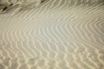 Strand Sanddüne Meer Farewell Spit in Neuseeland