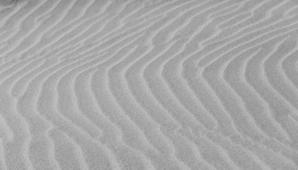 Fototapeta na wymiar Strand Sanddüne Meer Farewell Spit in Neuseeland