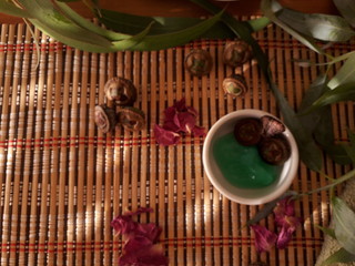 Top view spa concept. Floral foot spa with eucalyptus seeds, leaves, dry rose petal and a white bolw with eucalyptus balm. Natural light without edition.