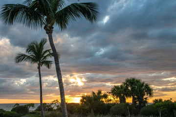 Fototapeta premium Sanibel Island in Florida