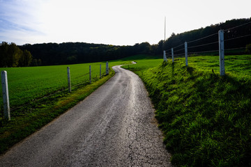 Road in the fileds
