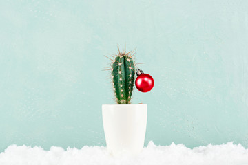 Funny Cristmas cactus decorated with red Christmas ball with snow © alinakho