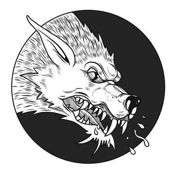 Close-up of a wild, angry, wolf with big fangs. Vector illustration
