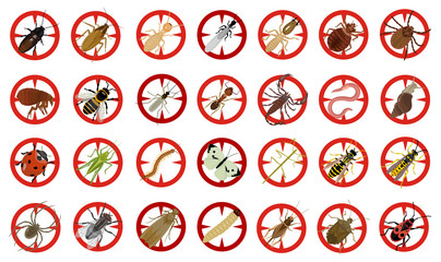 Bug of insect vector cartoon set icon.Vector illustration insect beetle. Isolated cartoon icon bug and fly beetle.