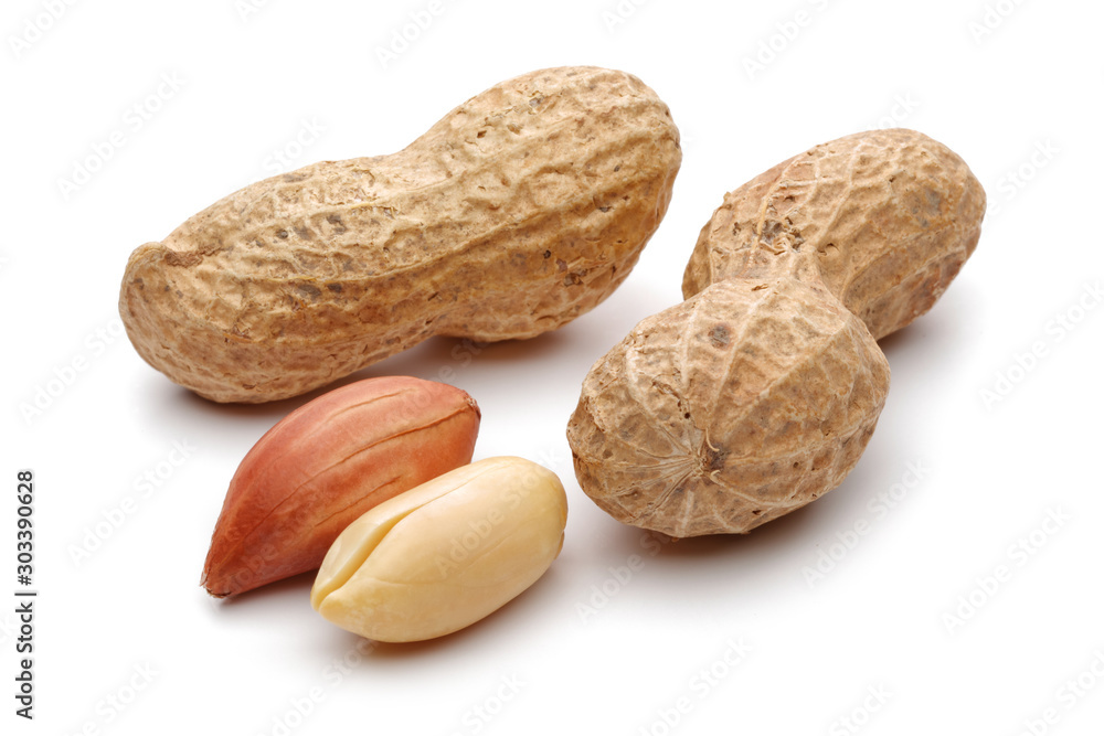 Poster group of peanuts isolated on white background