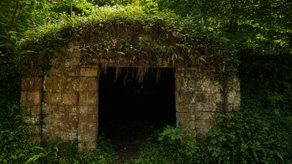 Fototapeta na wymiar Abandoned hut, campsite in lush tropical forest, Botanical Garden in Batumi, Georgia