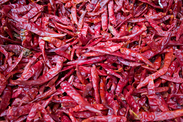 Fototapeta premium Chile serrano rojo seco y picante