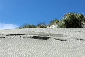 Strand Sanddüne Meer Farewell Spit in Neuseeland