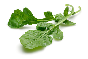 Bunch of fresh rucola isolated on white background