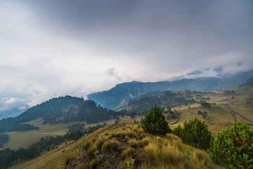 Une &eacute;tendue verdoyante dans le smontagne du Emxique