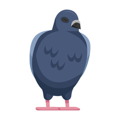 Pigeon vector icon.Cartoon vector icon isolated on white background pigeon.
