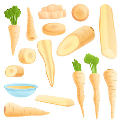 Parsnip icons set. Cartoon set of parsnip vector icons for web design - obrazy, fototapety, plakaty