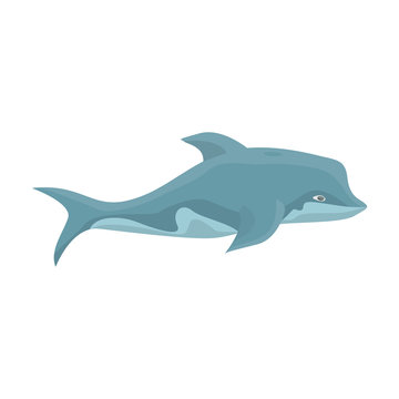 Dolphin vector icon.Cartoon vector icon isolated on white backgroun dolphin.